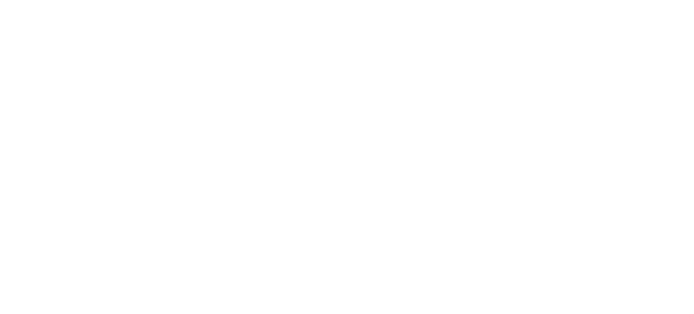 Zaya Basic